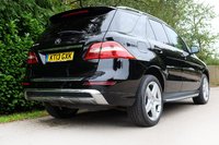 MERCEDES-BENZ M CLASS